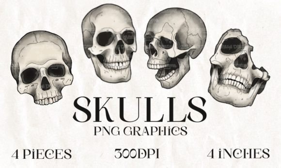 Download Skulls Halloween PNG Graphics - Skulls Collection